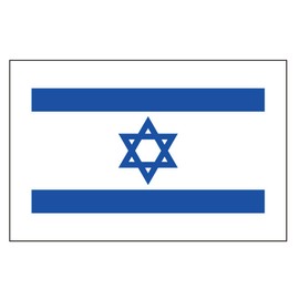 PremiumTT Large Israel Flag Tattoos - Waterproof, Multicolor, 8 Pieces