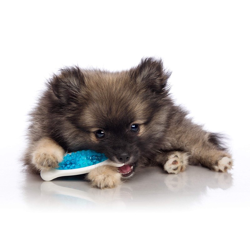 Hartz Chew 'n Clean Tuff Bone Bacon Scented Dental Dog