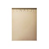 LUNASOL Coloring Glaze EX03 Teak EX3 Bronze Dessert 5.7 Grams