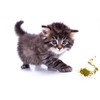 Purple Haze Catnip, Premium Blend Safe for Cats, Infused with