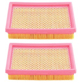 Road Passion AP8104329 Air Filter Replacement for CAN-AM Ryker 900 Rally Edition Euro5 ABS 2022-2023/ Ryker 900 Sport Euro5 ABS 2022-2023/ Spyder 1000 RS SE5 Halbautomatik ABS 2014-2016 (2PCS)