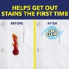 Oxiclean Max Force Stain Remover Professional, 12 fl oz, (Pack
