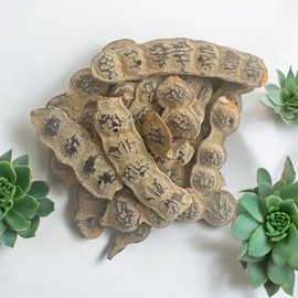 Kopabana NEP NEP (Acacia Nilotica Seeds) - 4oz, Hand-Harvested and Sun-Dried Organic Seeds from Mali Dried Bagaruwa (Acacia Bagaruwa) Natural & Organic Herbal Pods Feminine Hygiene & Wellness