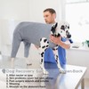Dog Post Surgery Body Suit, Operation Recovery Suit Female Dog