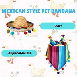 PODOEIL Porch Goose Outfits, 2pcs Mexican Goose Costume Lawn Goose Statue Clothes for Garden, Garden Porch Goose Clothes Mexican Hat and Bandana Scarf for Yard Decoration (Mulit-Color)