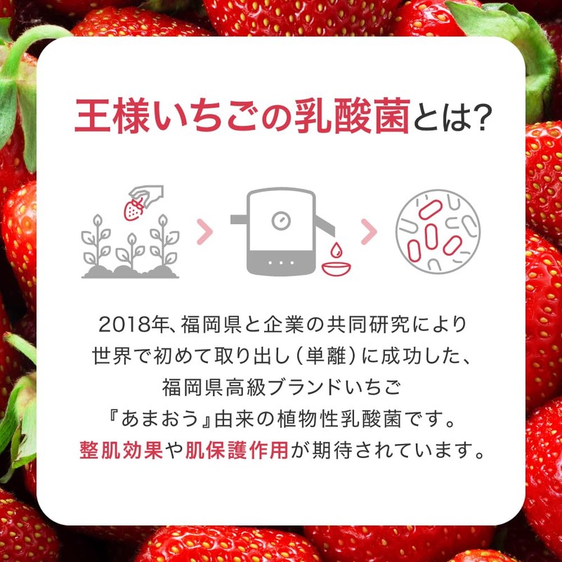 【 チューシー/CHOOSY 】［王様いちごの乳酸菌］ チューシーモイスト スキンケア 洗顔 化粧水 美容液 アイクリーム エタノールフリー