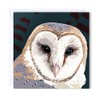 Barn Owl Blank Greeting Card by Leslie Gerry - Pack