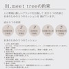 Meat Tree Hand Soap, Hinoki Cypress Scent, 13.5 fl oz