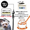 DOGPET Dog Leash Chain Lead, Long Lead, Bracelet Leash for
