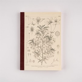 Hobo Nikki Notebook by Makino Tomitaro/Hobo Nikki Grid Notebook (A5) Yamazakura 0.15 in (3.7 mm) Grid, 288 Pages, 4-Color Grid, Notebook Accessories