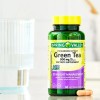 Spring Valley Green Tea Extract Vegetarian Capsules, 500 mg, 60