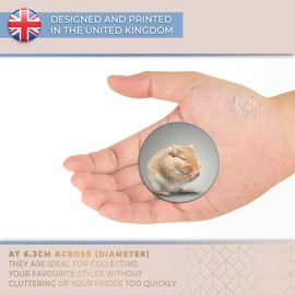 Destination Vinyl ltd Magnet for Refrigerator, Fridge - Cute Brown Mouse Gerbil Pet for Office, Cabinet and Whiteboard, Magnetic Stickers, 21917