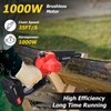 2-IN-1 Cordless Pole Saw and Mini Chainsaw, 8 Inch Brushless