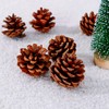 Ashuxxn Pack of 48 Christmas Pine Cones Decoration Natural Pine