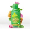 Ajolomiel Jarabe Suplemento Con Vitaminas C & A (2-pack) Menta-eucalipto