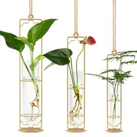 MIPON Plant Propagation Stations,Hanging Glass Propagation Test Tube Vases for Plants with Gold Metal Stand for Hydroponic Cutting Home Garden Office Decor-Gold