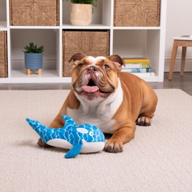 TrustyPup Strong 'N Silent Silent Swimmer Soft Plush Orca Silent Squeaker Chew Guard Dog Toy - Blue, Large