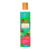 Kit Shampoo-acondicionador Coco Sin Sal Ni Parabenos Nekane