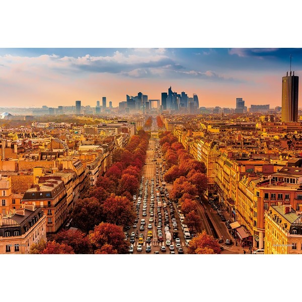 1000 Piece Jigsaw Puzzle with Champs Elysées and View of