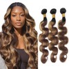 Niciitysi Highlight Blonde Body Wave Bundles Human Hair T1BP4/27 Three