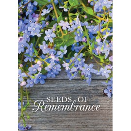 Bentley Memorial Blue Flax Seeds of Remembrance, Non-GMO, Non-Coated Packets, Funeral Keepsake, Linum Lewisii, 25 Pack