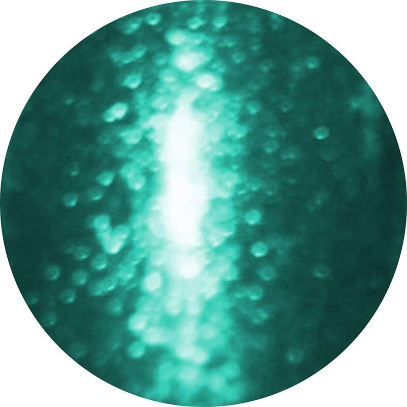 KOKOIST E-54 Color Gel 2.5g Emerald Micro Glitter UV/LED Compatible