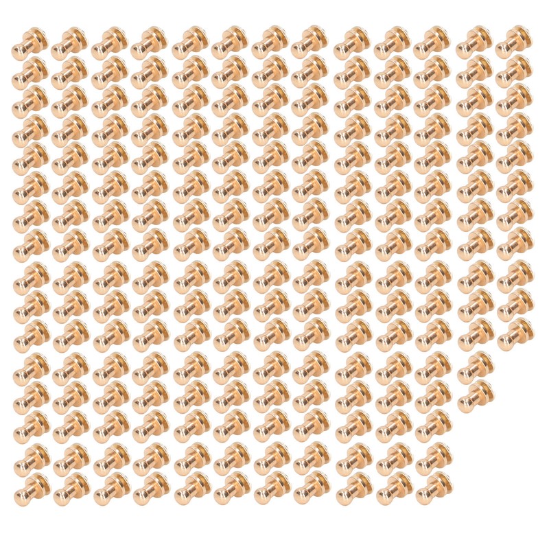 200 Sets Chicago Screws Round Head Rivets 8x6mm DIY Round