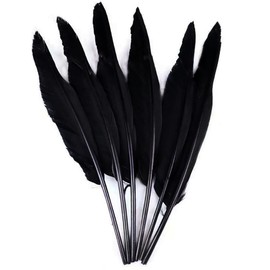 50pcs Black Feathers 10~12in Long,Beautiful Bulk Feather for Crafts（26-31CM）,Big Size Bilateral Natural Goose Feather,for Wedding Dress and Party Decoration,DIY Fabricating Handicraft Article(Black)