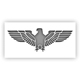 Eagle Bird Falcon Stencil - Choose a Size (9"x4.5") - Laser-Cut Reusable Plastic