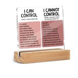 Things I Can't Control Office Decor Sign, Motivational Quotes Acrylic Sign With Wooden Stand, Thank You Gifts for Woman Coworker Nurse Friends Decorative Desk Accessories Table Shelf Signs Decor-2