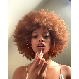 HIHOO Short Afro Wig with Bangs for Black Women Afro Kinky Curly Wig 70s Premium Synthetic Big Afro Wigs(Brown)