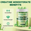 DANEW Pro Creatine Monohydrate Gummies for Men & Women, Creatine