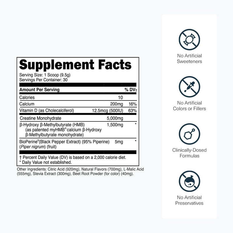 Transparent Labs Creatine HMB - Creatine Monohydrate Powder with HMB