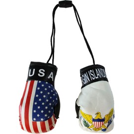 Flagline USA and US Virgin Islands - Mini Boxing Gloves
