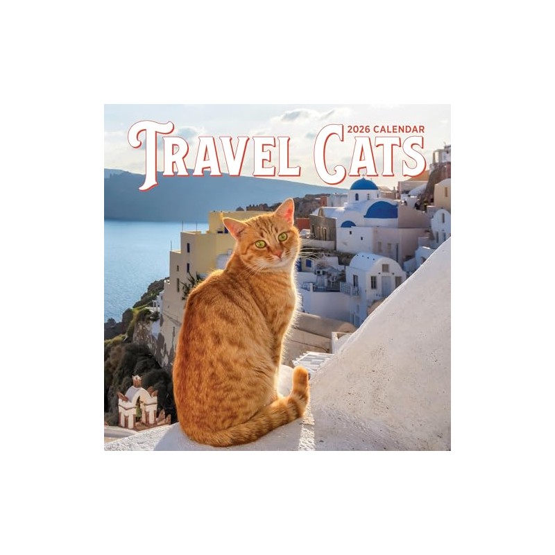 Travel Cats Wall Calendar 2026