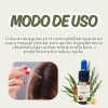 Aceite Capilar Ozonizado Anti-caída De Cabello 10ml