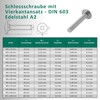 DSM - Carriage Bolts M5 x 100mm DIN 603 -