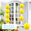 Hocansen 8 PCS Paper Honeycomb Balls Decoration 8inch Honeycomb Flower