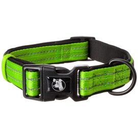 Alcott Flexi Explorer Adventure Pet Collar, Large, Green,CLR LG EX GR