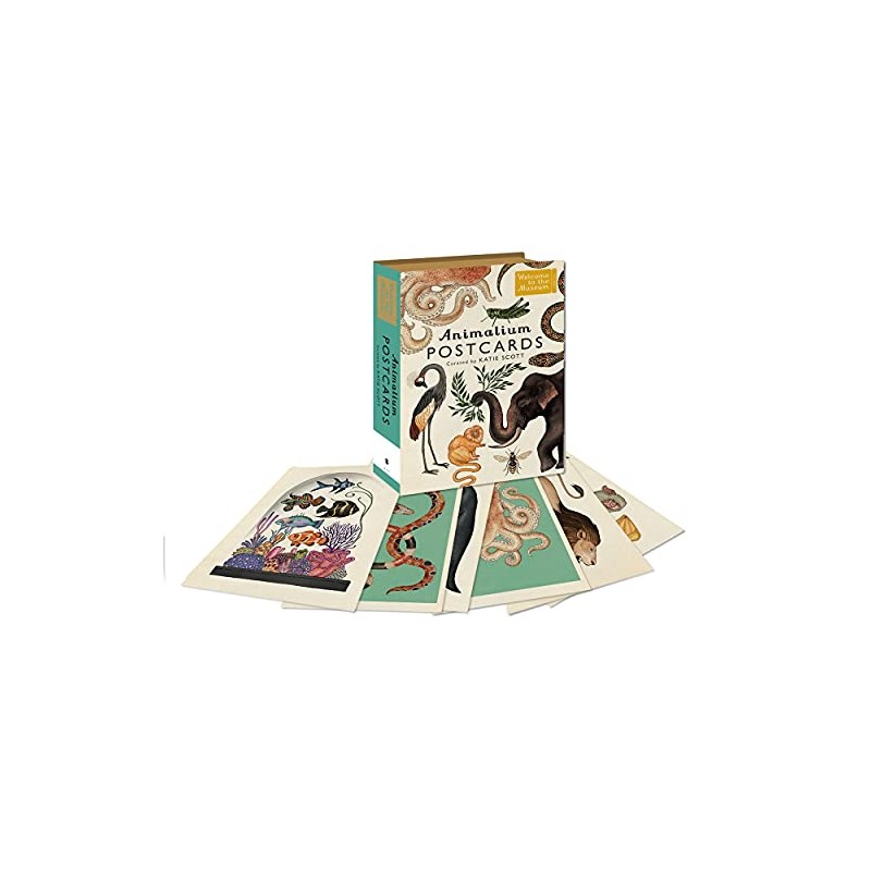 Animalium Postcards
