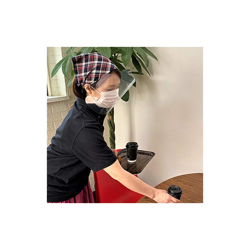 2-Way Face Shield, Set of 5, For Splashing Infections, Splashing