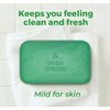 Irish Spring Aloe Bar Soap 3.75 Oz-pack of 20 Bars
