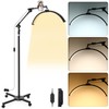 VIHOSE Half Moon Light LED Floor Lamp with Cool and