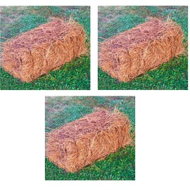 USA Pine Straw - Premium Pine Needle Mulch (Pine Needle Mulch - Covers 65-80 Sqft 3 Set)