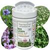 Flawn Seed Kits Bee Lawn Seed Kit, Dutch White Clover