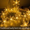 Fielegen 9.84ft 20 LED Cherry Blossom Flower String Lights Battery