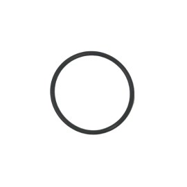Intex Titanium Electrode O-Ring for Intex 54615 Pool Filter Pump Saltwater System