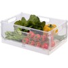 Rosenstein & Söhne Fridge Box: Set of 4 Foldable Fridge
