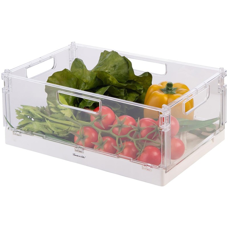 Rosenstein & Söhne Fridge Box: Set of 4 Foldable Fridge