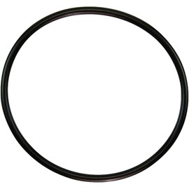 350013 OEM Lid O-Ring for Pentair WhisperFlo, Challenger, Pinnacle, IntelliFlo Pool Pumps, O-318